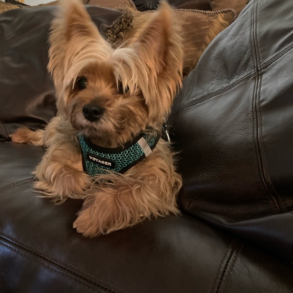 Meet your Posher, Karen - Picture 5 of 5